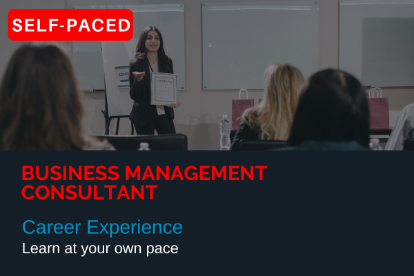 Career Experience | Business Management Consultant